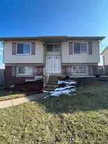 5663 Allemong Dr in Matteson, IL - Building Photo