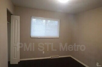 10145 Green Valley Dr in St. Louis, MO - Building Photo - Building Photo