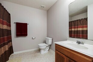 20738 Fair Castle Dr in Cypress, TX - Building Photo