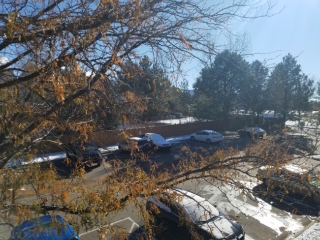 9212 E Arbor Cir in Englewood, CO - Foto de edificio - Building Photo