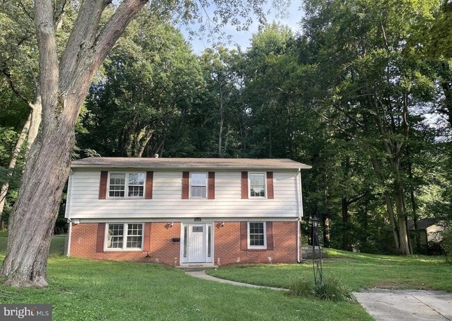 property at 4510 Andes Ct