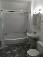 1214 E Mifflin St in Madison, WI - Building Photo - Building Photo