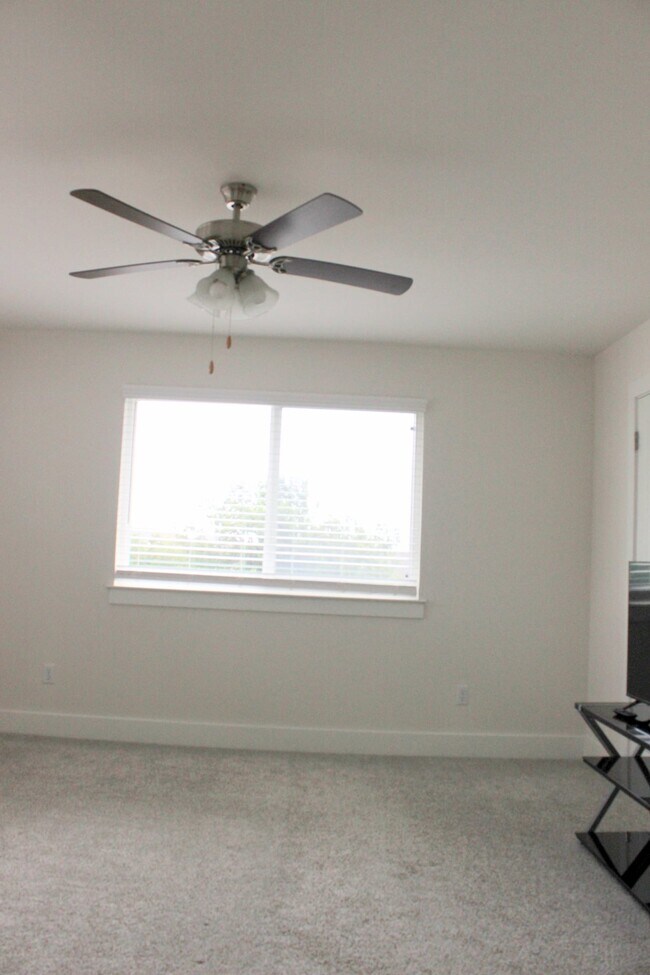 513 White Steppe Way in Georgetown, TX - Building Photo - Building Photo