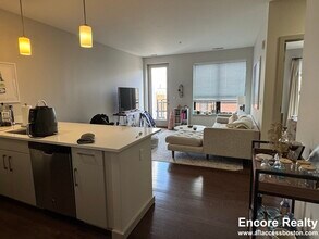 20 Webster St, Unit 45-611 in Brookline, MA - Building Photo - Building Photo