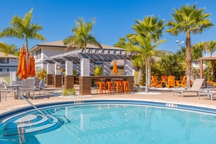 Shoreline Pointe Apartments in St. Petersburg, FL - Building Photo