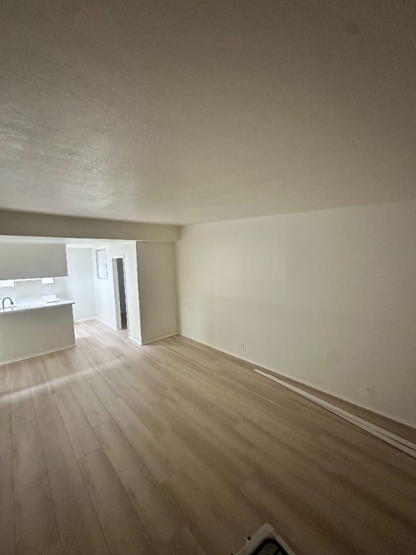 7040 Haskell Ave in Los Angeles, CA - Foto de edificio - Building Photo