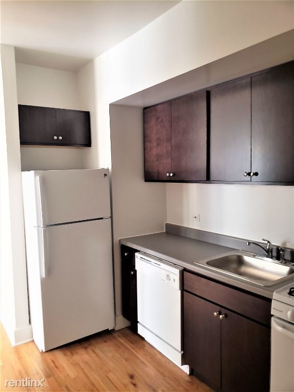 1532 N Kedzie Ave in Chicago, IL - Building Photo - Building Photo