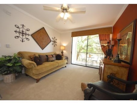 3508 Adelphi Ln in Austin, TX - Building Photo - Building Photo
