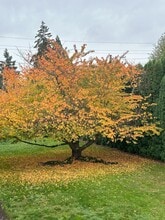 Trinity Terrace Apartments in Salem, OR - Building Photo - Building Photo