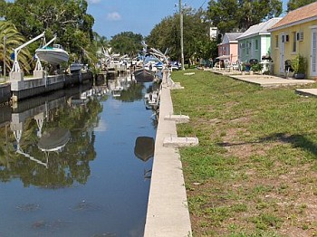 Dunedin Apartments in Dunedin, FL - Building Photo - Building Photo