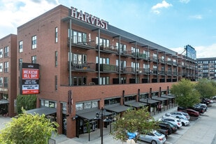 Harvest Lofts in Dallas, TX - Building Photo
