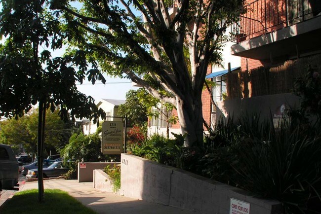 1211 Horn Ave in West Hollywood, CA - Building Photo - Building Photo