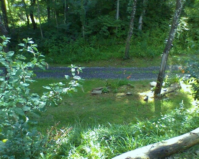 346 Elk Shoals Creek Rd in Burnsville, NC - Building Photo - Building Photo