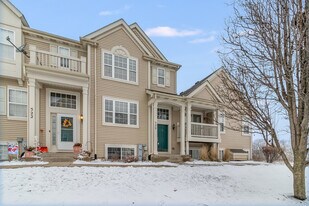 520 Lincoln Station Dr in Oswego, IL - Building Photo