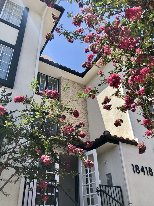 Maravilla Apartments at CSUN in Northridge, CA - Building Photo