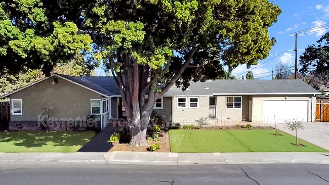 795 Viader Ct in Santa Clara, CA - Building Photo - Building Photo