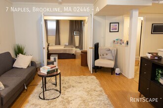 7 Naples Rd in Brookline, MA - Building Photo - Building Photo