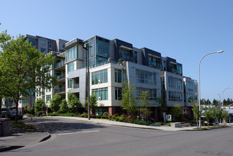 Palazzo in Bellevue, WA - Foto de edificio - Building Photo