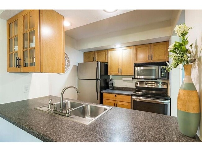 334 W 5th St in Waconia, MN - Building Photo - Building Photo