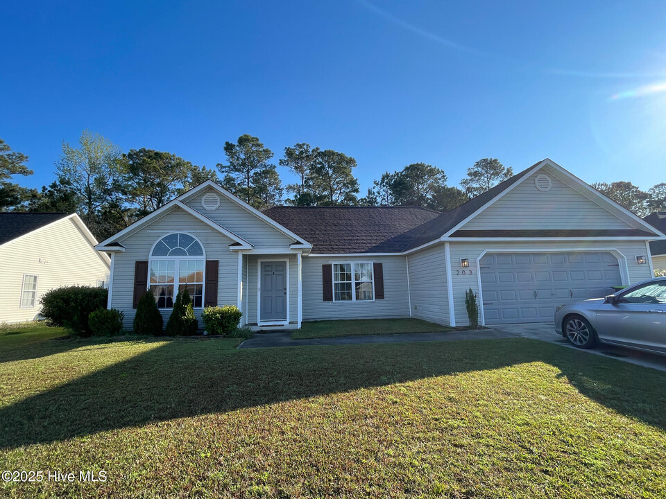 203 Jasmine Ln in Jacksonville, NC - Building Photo