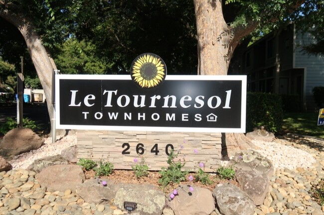 Le Tournesol