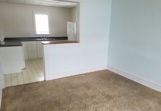 333 Bingham St, Unit 1 in Lansing, MI - Building Photo - Building Photo