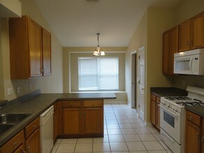 24418 Summer Nights Ct in Lutz, FL - Building Photo - Building Photo