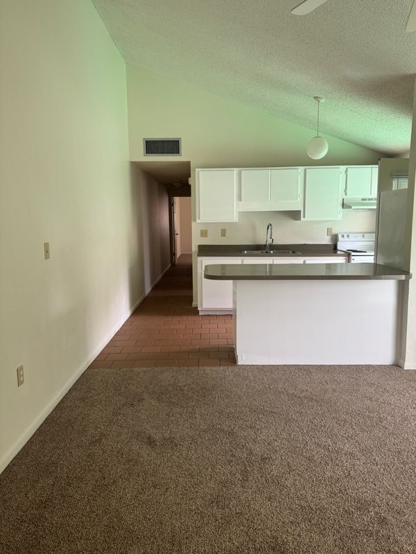 208 S Rossiter St in Mount Dora, FL - Building Photo - Building Photo