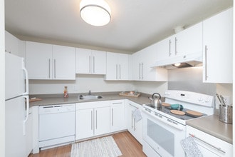 North Stoughton Village in Stoughton, MA - Building Photo - Interior Photo