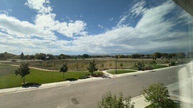 4528 Barrow Ln in Timnath, CO - Building Photo - Building Photo