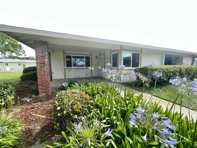 property at 146 W Carmel Green