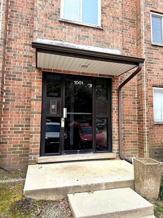 1001 Buccaneer Dr in Schaumburg, IL - Building Photo