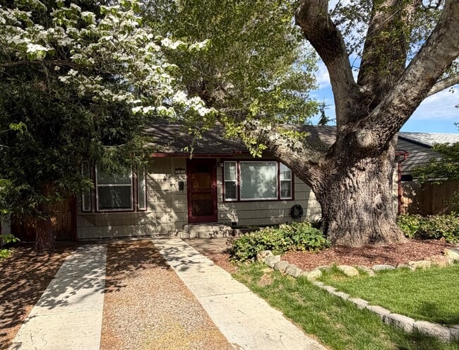 916 Kenyon St in Medford, OR - Building Photo - Building Photo