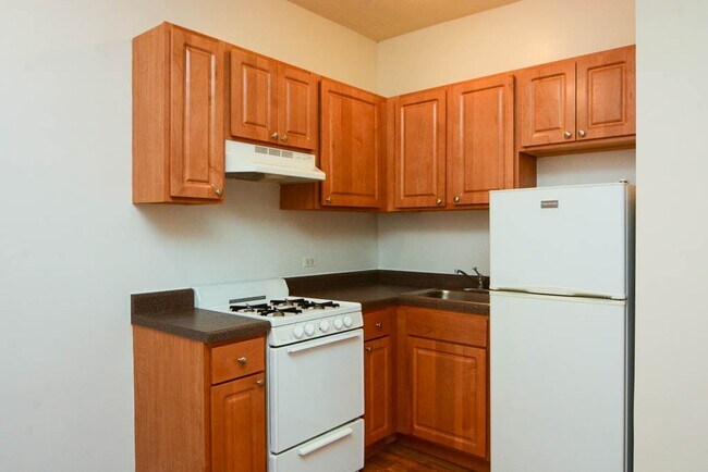 1742 N Humboldt Blvd in Chicago, IL - Building Photo - Building Photo