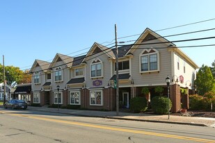696 N Mill St in Plymouth, MI - Building Photo