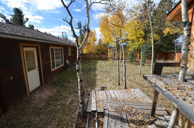 230 Pine Dr in Fairplay, CO - Building Photo - Building Photo