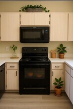 1921 Tinker Dr in Lutz, FL - Building Photo - Building Photo