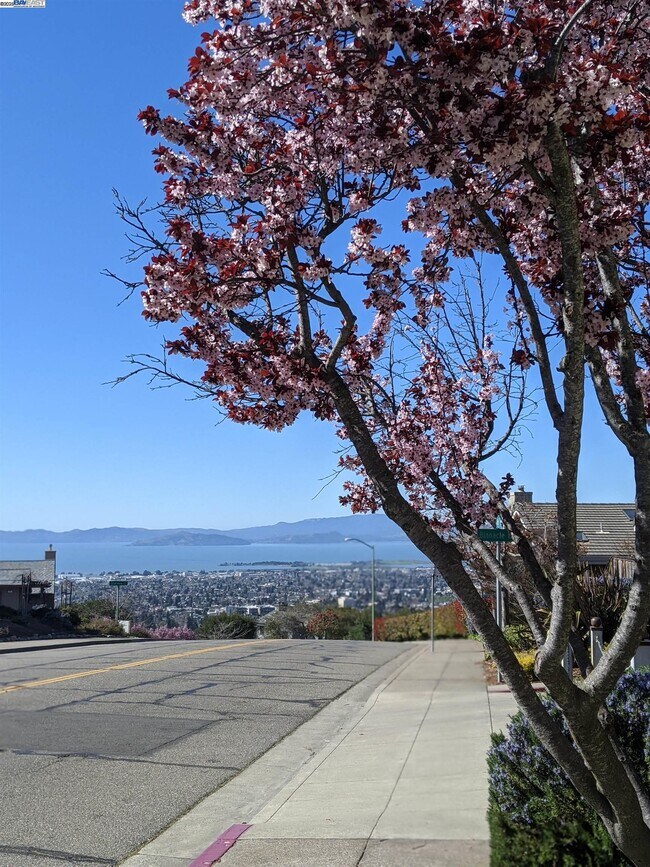37 Binnacle Hill in Oakland, CA - Building Photo - Building Photo