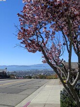 37 Binnacle Hill in Oakland, CA - Building Photo - Building Photo