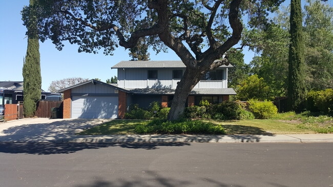 982 Desconsado Ave in Livermore, CA - Building Photo - Building Photo