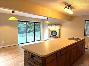 20 Burnham Hollow Rd in Avon, CT - Building Photo - Building Photo