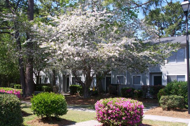 The Glen Apartments in Wilmington, NC - Building Photo - Building Photo