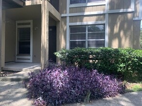 14312 Hanging Moss Cir in Tampa, FL - Building Photo - Building Photo