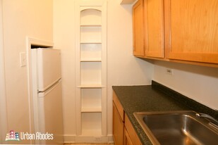 515 W Arlington Pl, Unit M07B in Chicago, IL - Building Photo - Building Photo