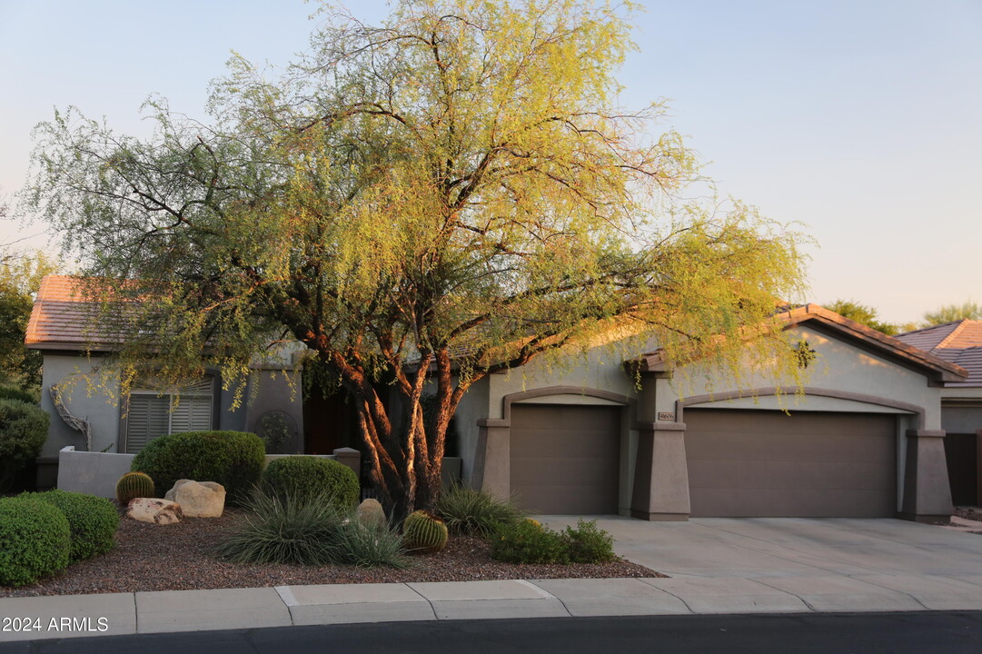 41606 N Emerald Lake Dr in New River, AZ - Building Photo