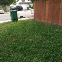 909 E Jefferson St in Brownsville, TX - Building Photo - Building Photo