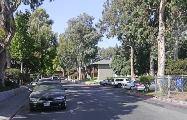 Parkside Terrace in San Jose, CA - Foto de edificio - Building Photo