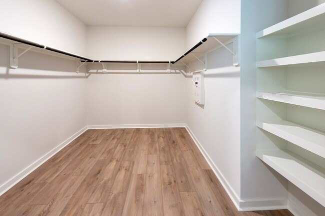 property at 16039 Emerald Thistle Ln