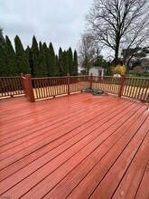 15 Cottage Ln in Clifton, NJ - Building Photo - Building Photo