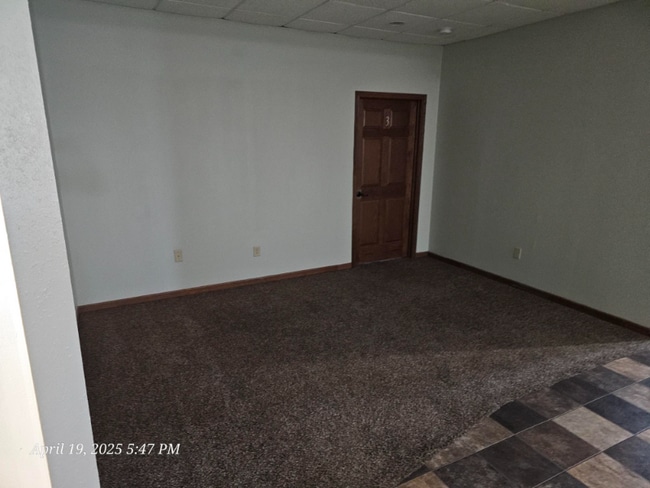 615 S Chestnut St in Platteville, WI - Building Photo - Building Photo